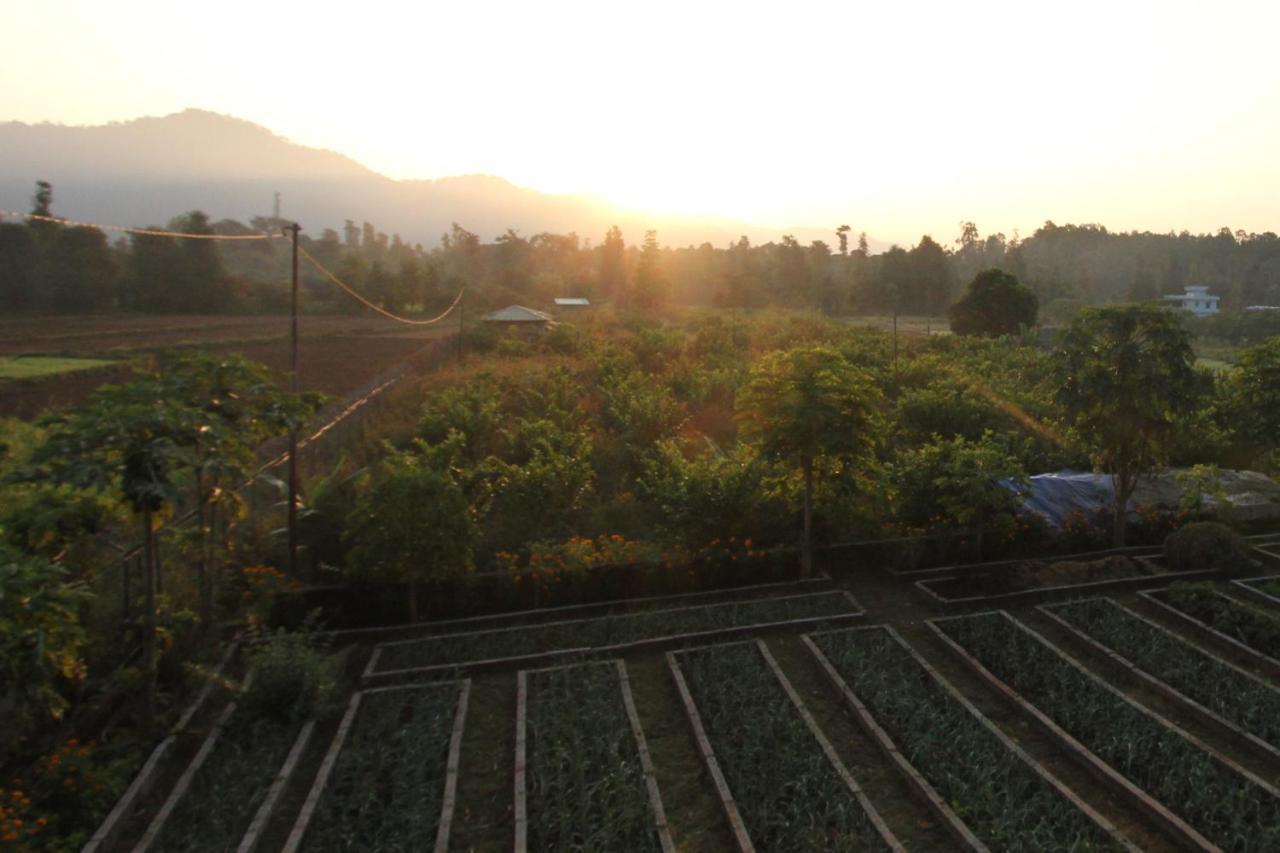 Forest Side Farm - Homestay At Kotabagh Near Nainital And Jim Corbett Екстер'єр фото
