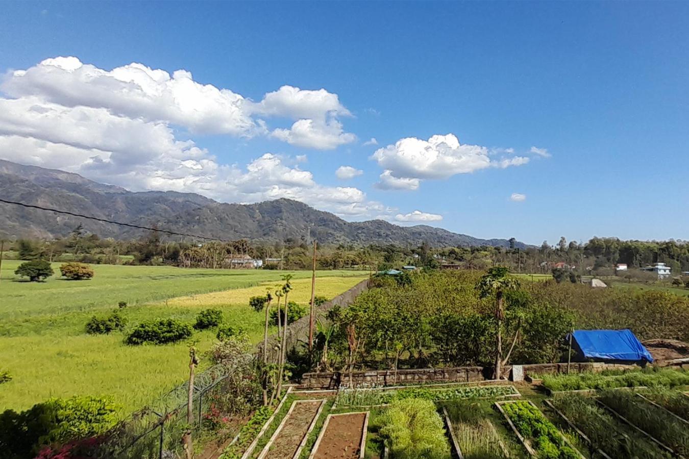 Forest Side Farm - Homestay At Kotabagh Near Nainital And Jim Corbett Екстер'єр фото